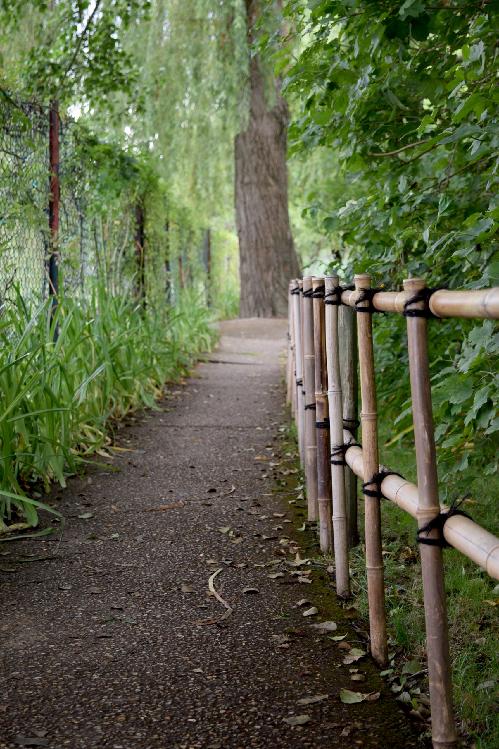 Pathways to Navigating ADHD